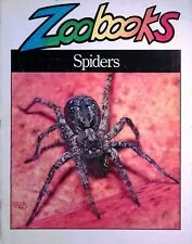 Spiders