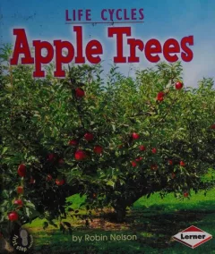 Apple trees