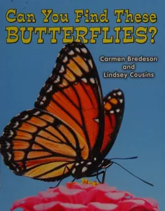 Can you find these butterflies?