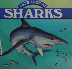 Let's look at sharks