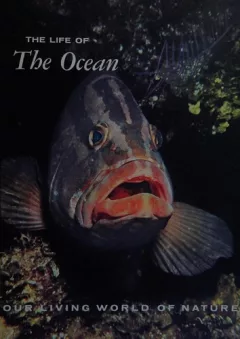 The life of the ocean