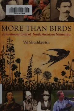 More than birds