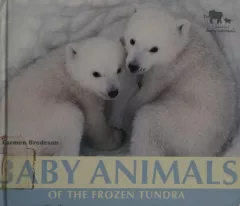 Baby animals of the frozen tundra
