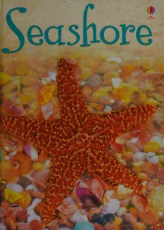 Seashore