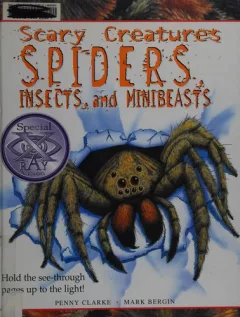 Spiders, insects, and minibeasts
