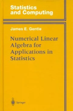 Numerical linear algebra for applications in statistics
