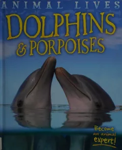 Dolphins and porpoises