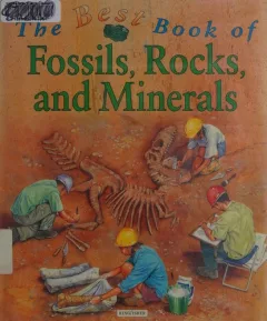 The Best Book of Fossils, Rocks and Minerals