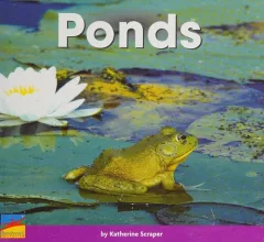 Ponds