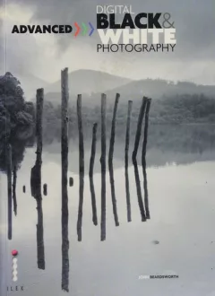 Advanced digital black and white photography