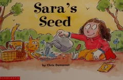 Sara's seed