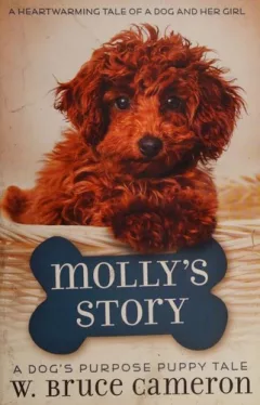 Molly's Story