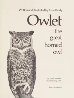 Owlet, the great horned owl