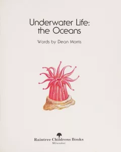 Underwater life