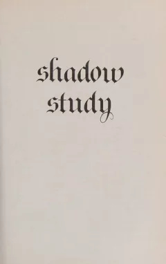 Shadow study