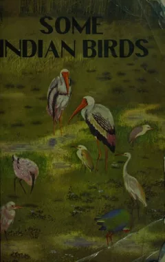 Some Indian birds