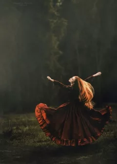 The bird and the sword