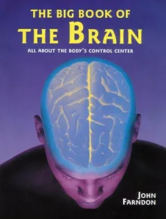 Big Book of the Brain