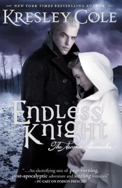 Endless Knight