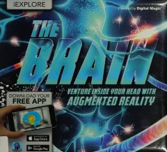 Brain
