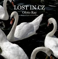 Lost in CZ