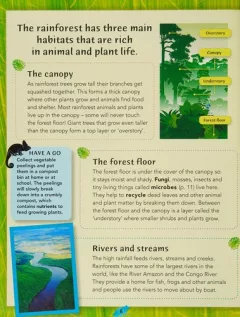Discover Through Craft : Rainforests Discover Through Craft