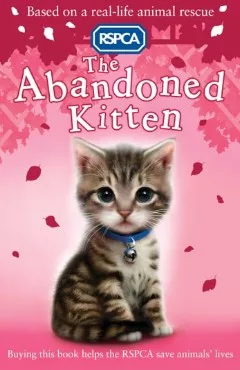 Abandoned Kitten