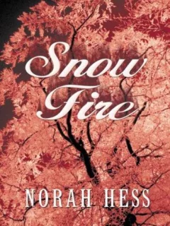 Snow fire