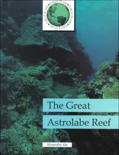 The Great Astrolabe Reef