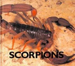 Scorpions
