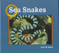 Sea snakes