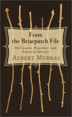 From the briarpatch file