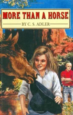 More than a horse