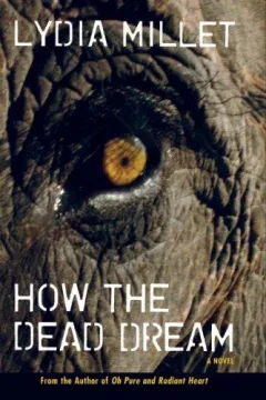 How the Dead Dream