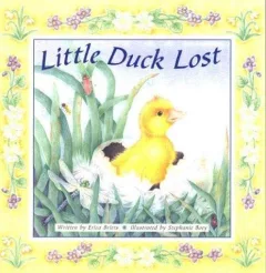 Little Duck lost