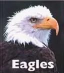 Eagles