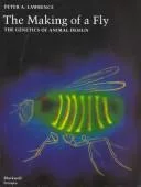 The making of a fly