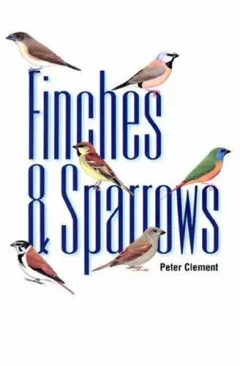 Finches & sparrows