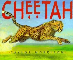 Cheetah