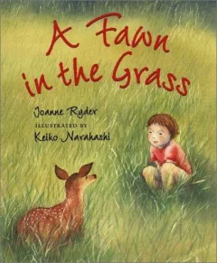 A fawn in the grass