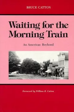 Waiting for the morning train