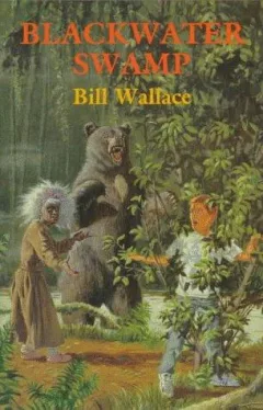Blackwater Swamp