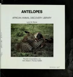 Antelopes