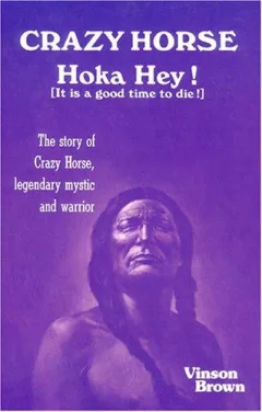 Crazy Horse, hoka hey!