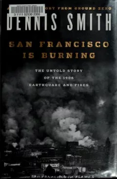 San Francisco is burning