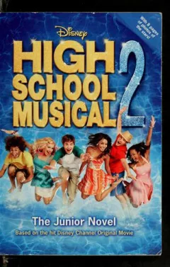 High School Musical 2: The Junior Novel (High School Musical Junior Novels #2)