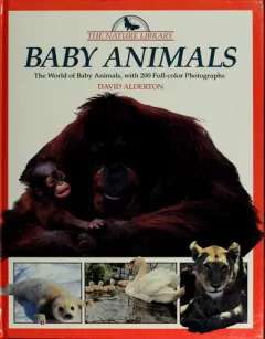 Baby animals