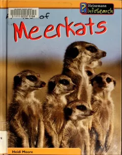 A mob of meerkats