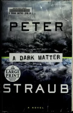 A dark matter