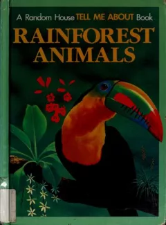 Rainforest animals